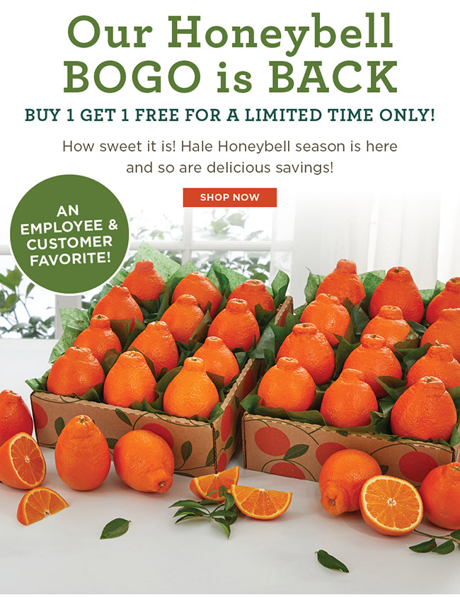 🍊 Our Honeybell BOGO is BACK - Buy 1 Get 1 Free for a Limited Time ONLY ...