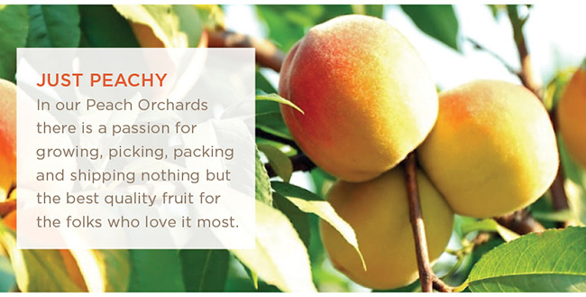 Orchard Fresh Peaches